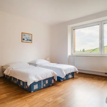 Apartmany Spicka - Stribrnice U Sjezdovky Stare Mesto  Exterior photo
